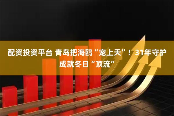 配资投资平台 青岛把海鸥“宠上天”！31年守护成就冬日“顶流”