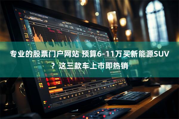 专业的股票门户网站 预算6-11万买新能源SUV？这三款车上市即热销